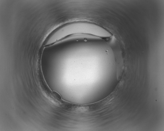 X0000076440156200611031914