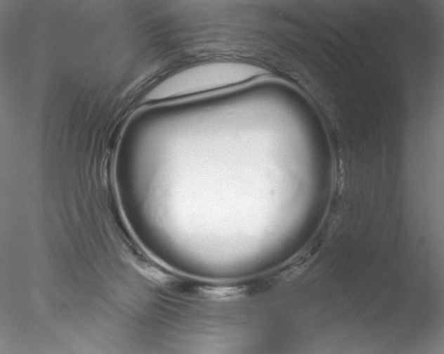 X0000076440165200611031914