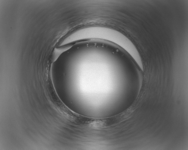 X0000076440168200611031914