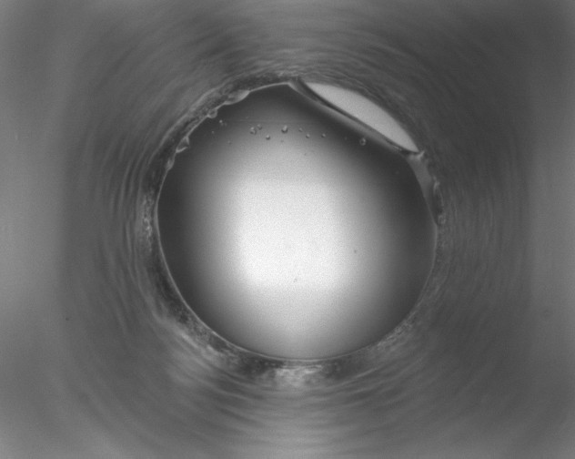 X0000076440172200611031914