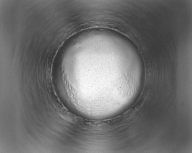 X0000076440173200611031914