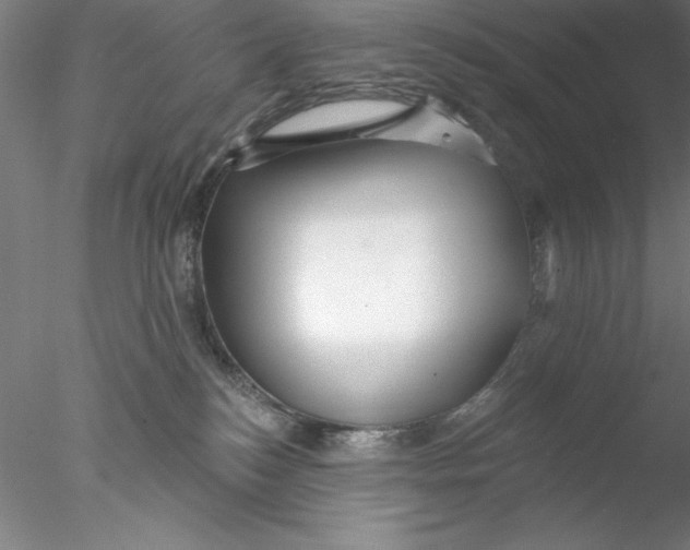 X0000076440184200611031915