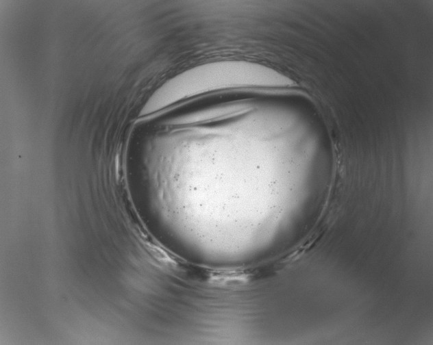 X0000076440185200611031915