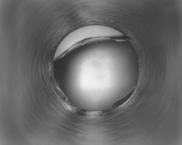 X0000076440192200611031915