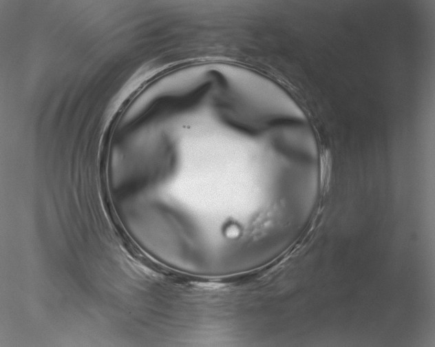 X0000076440195200611031914