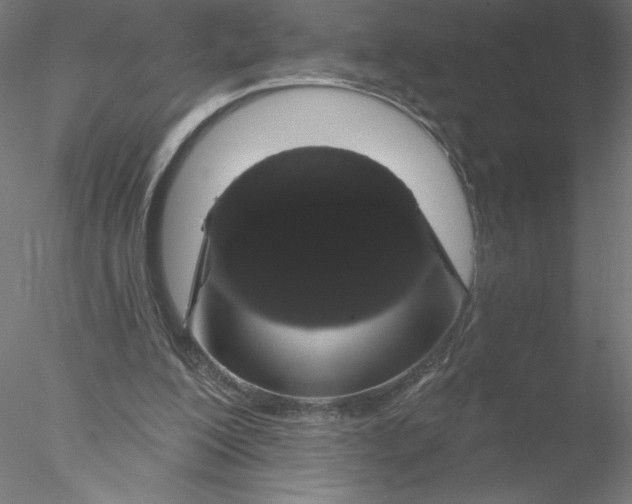 X0000076440200200611031914