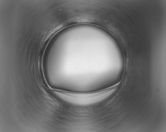 X0000076440202200611031914