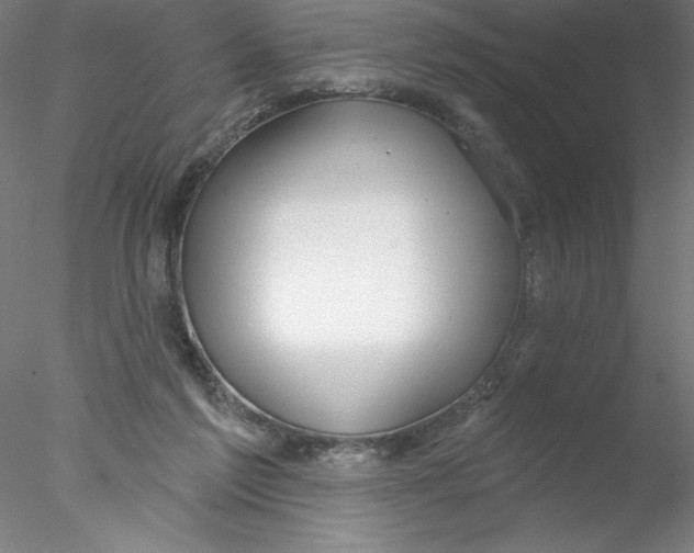X0000076440213200611031914