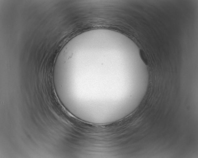 X0000076440215200611031914