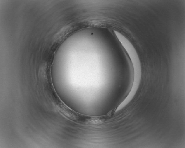 X0000076440217200611031914