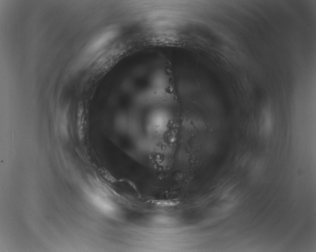 X0000076440223200611031913