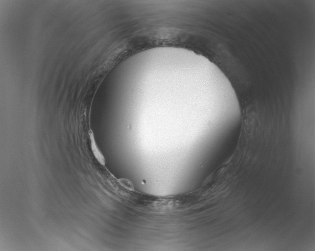 X0000076440225200611031913