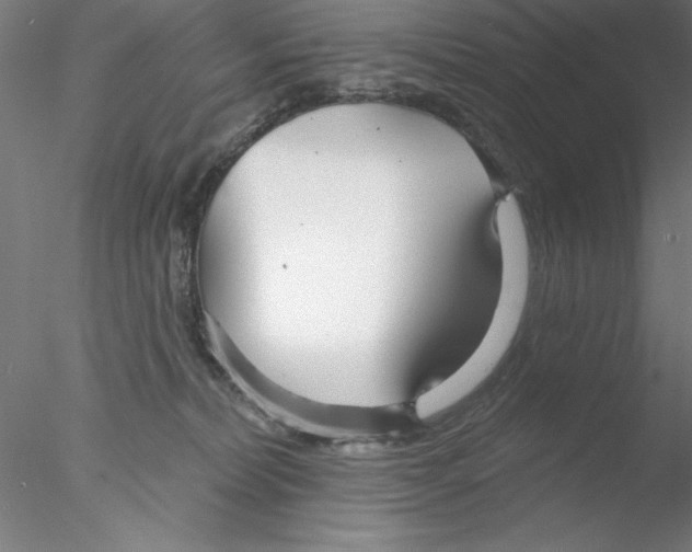 X0000076440228200611031913