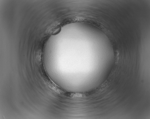 X0000076440230200611031913