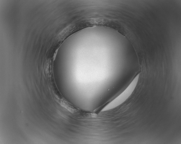 X0000076440233200611031913