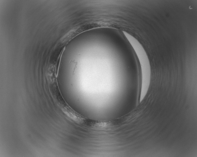 X0000076440237200611031913