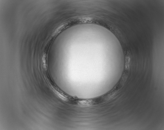 X0000076440238200611031913