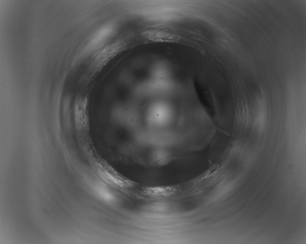 X0000076440239200611031913