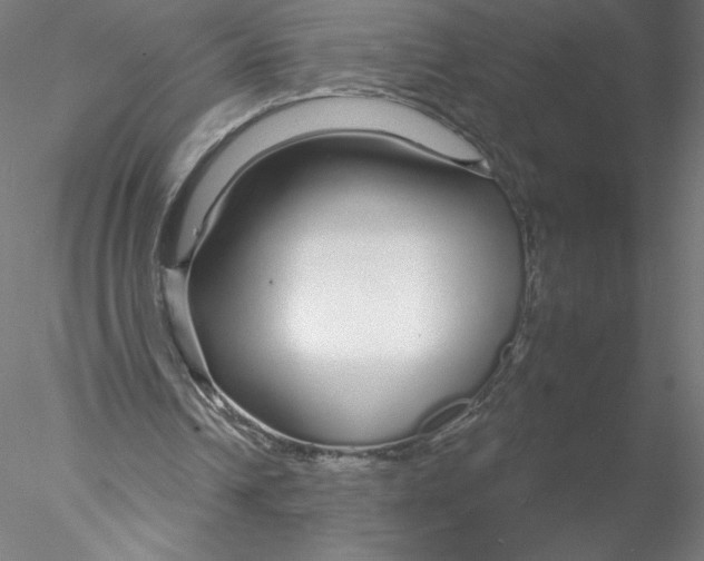X0000076440242200611031912