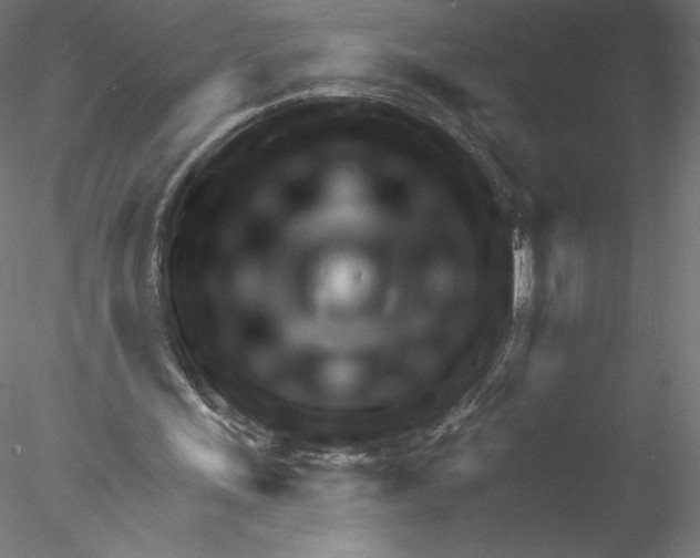 X0000076440243200611031912