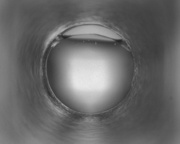 X0000076440248200611031912