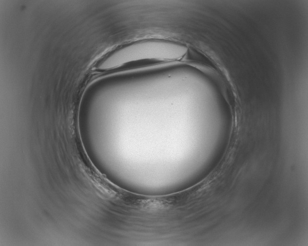 X0000076440249200611031912