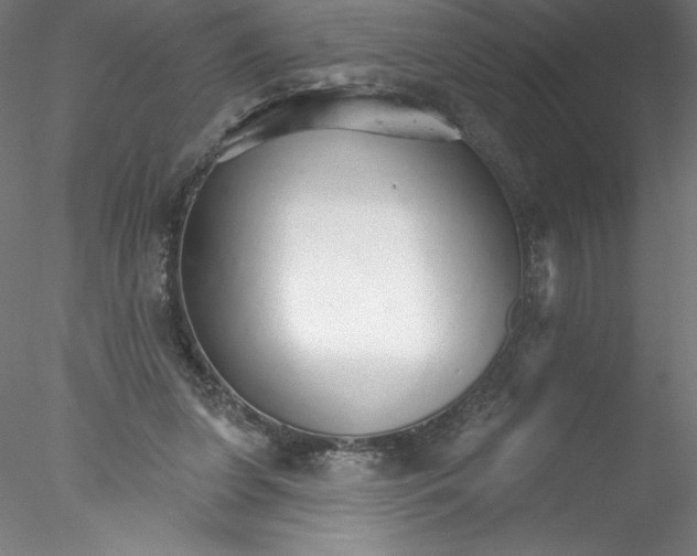 X0000076440255200611031913