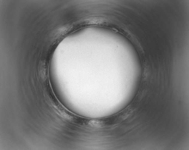 X0000076440261200611031913