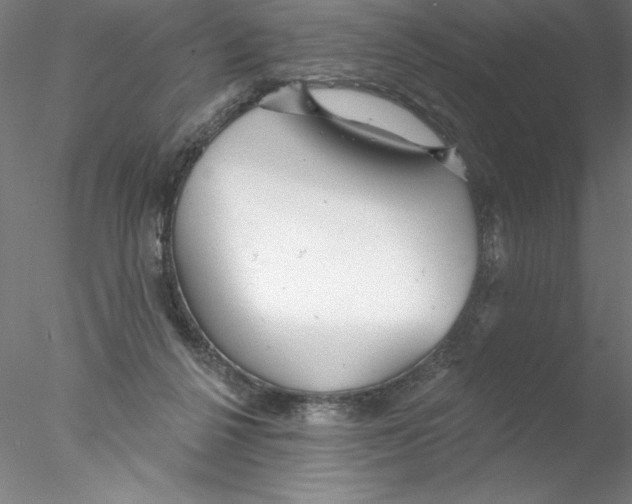 X0000076440264200611031913