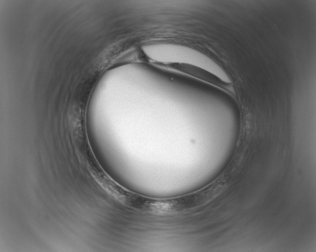 X0000076440265200611031913