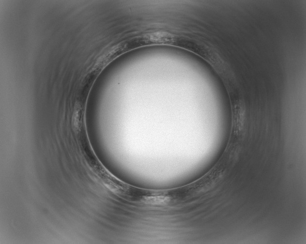 X0000076440266200611031913