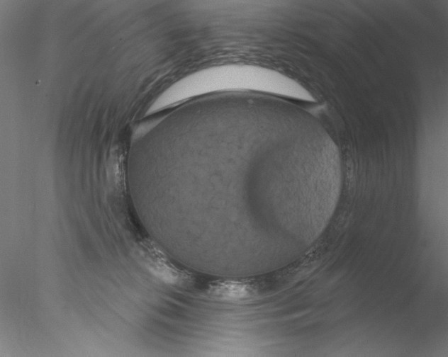 X0000076440276200611031913