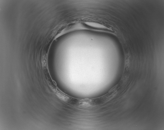 X0000076440285200611031913