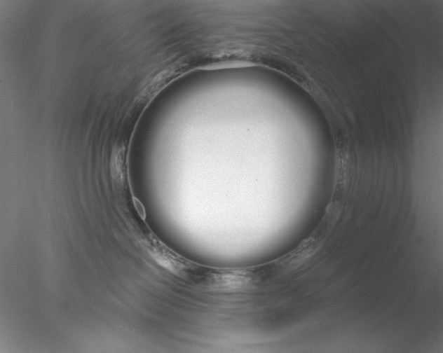 X0000076440286200611031913