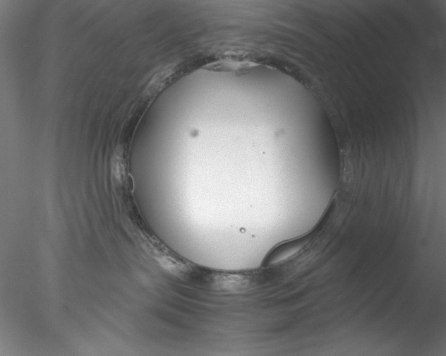 X0000076440287200611031913