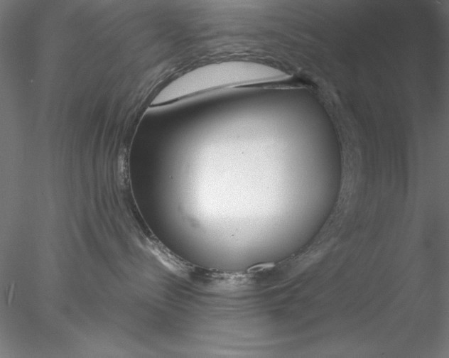 X0000076440288200611031913