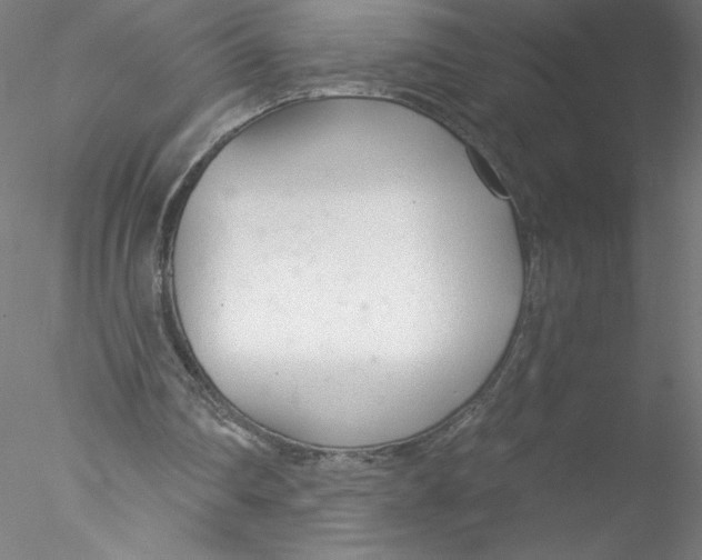 X0000076440290200611031912