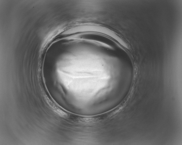 X0000076440293200611031912