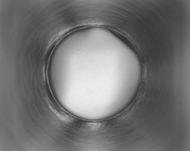 X0000076440302200611031912