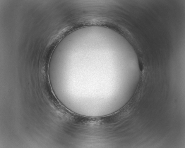 X0000076440306200611031912