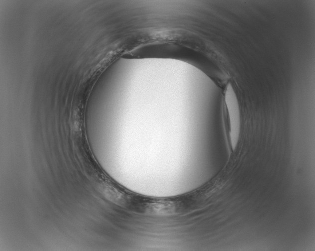 X0000076440317200611031912