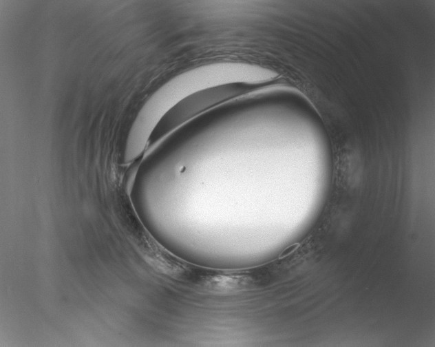 X0000076440323200611031912
