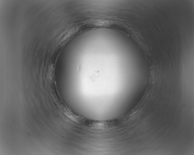 X0000076440325200611031912