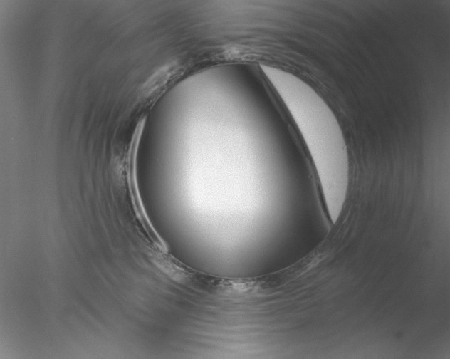 X0000076440329200611031912