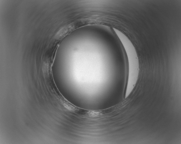 X0000076440333200611031912