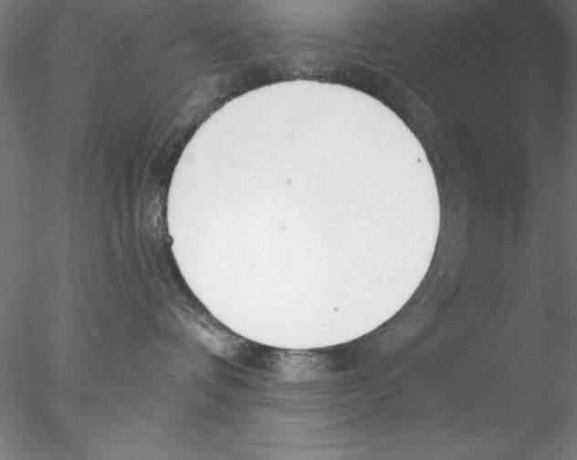 X0000076440336200611031912