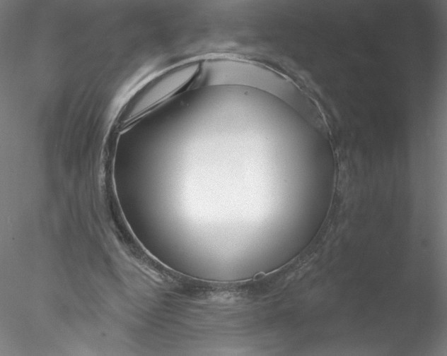 X0000076440344200611031911