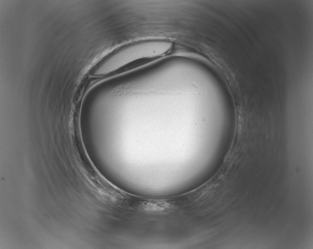 X0000076440346200611031911