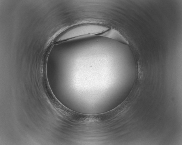 X0000076440348200611031911
