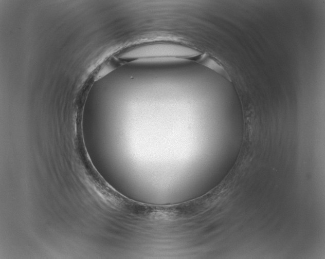X0000076440350200611031911